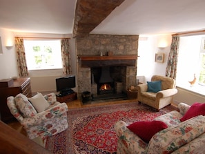 Living area - Thorn Cottage, Chagford (Chagford)