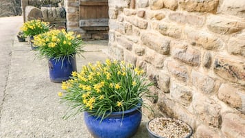 DĂ©tail de lâextĂ©rieur