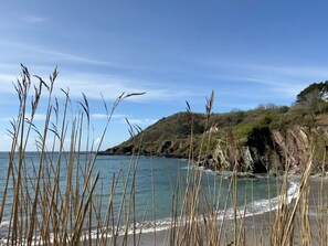 Eine Küstenlandschaft mit Strand, Gras und einer Klippe.