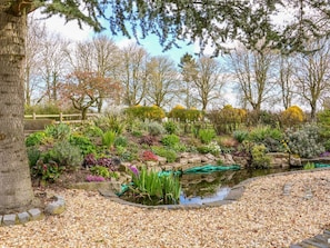 Ein Garten mit Teich, Pflanzen und Bäumen.