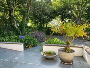 Ein Garten mit verschiedenen Pflanzen und Bäumen, einem Kiesweg und einer Sitzgelegenheit mit einer Bank.