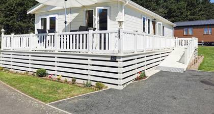 Jonstone Pines, Cefn Berain