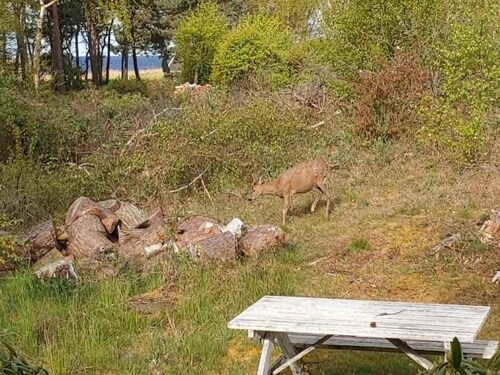 4 Star Holiday Home in Aakirkeby