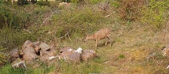 4 Star Holiday Home in Aakirkeby