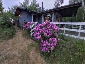 House | Exterior