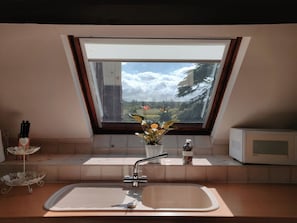 Una cocina con ventana, un lavamanos, un microondas y una planta en maceta.