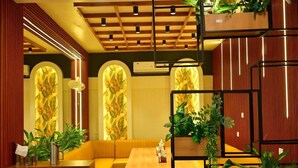 Un intérieur moderne avec un plafond en bois, un éclairage encastré, un canapé, une table à manger et des plantes en pot.