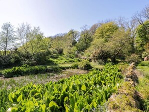 Property grounds - Claymoddie, Isle Of Whithorn (Newton Stewart)