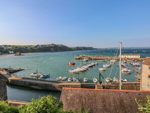 Marina - CANN ROSS: Cozy Cottage Retreat (Tenby)