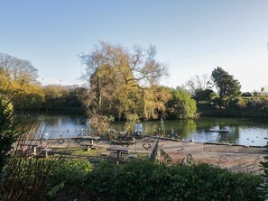 Ein Park mit Teich, Bänken und Bäumen.