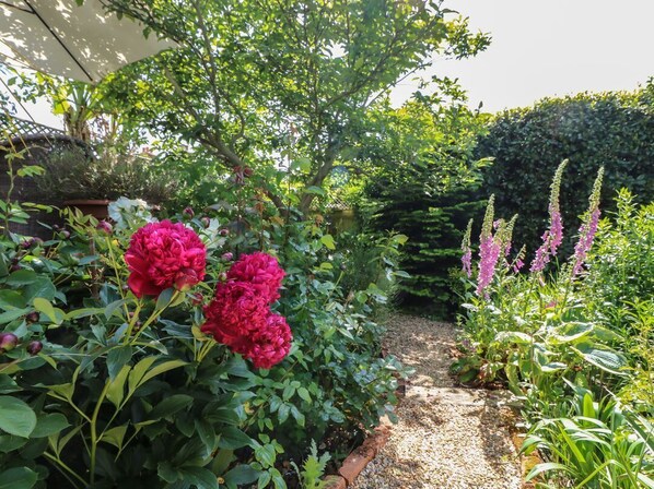 A garden with a gravel path, dense foliage, and flowering plants.
