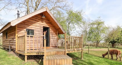 Charming Duck Lodge Retreat in Bedale