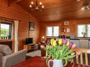 Living area - Cedar Lodge, Lanivet (Bodmin)