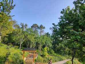 Miscellaneous - Swaasha Vista (Kausani)