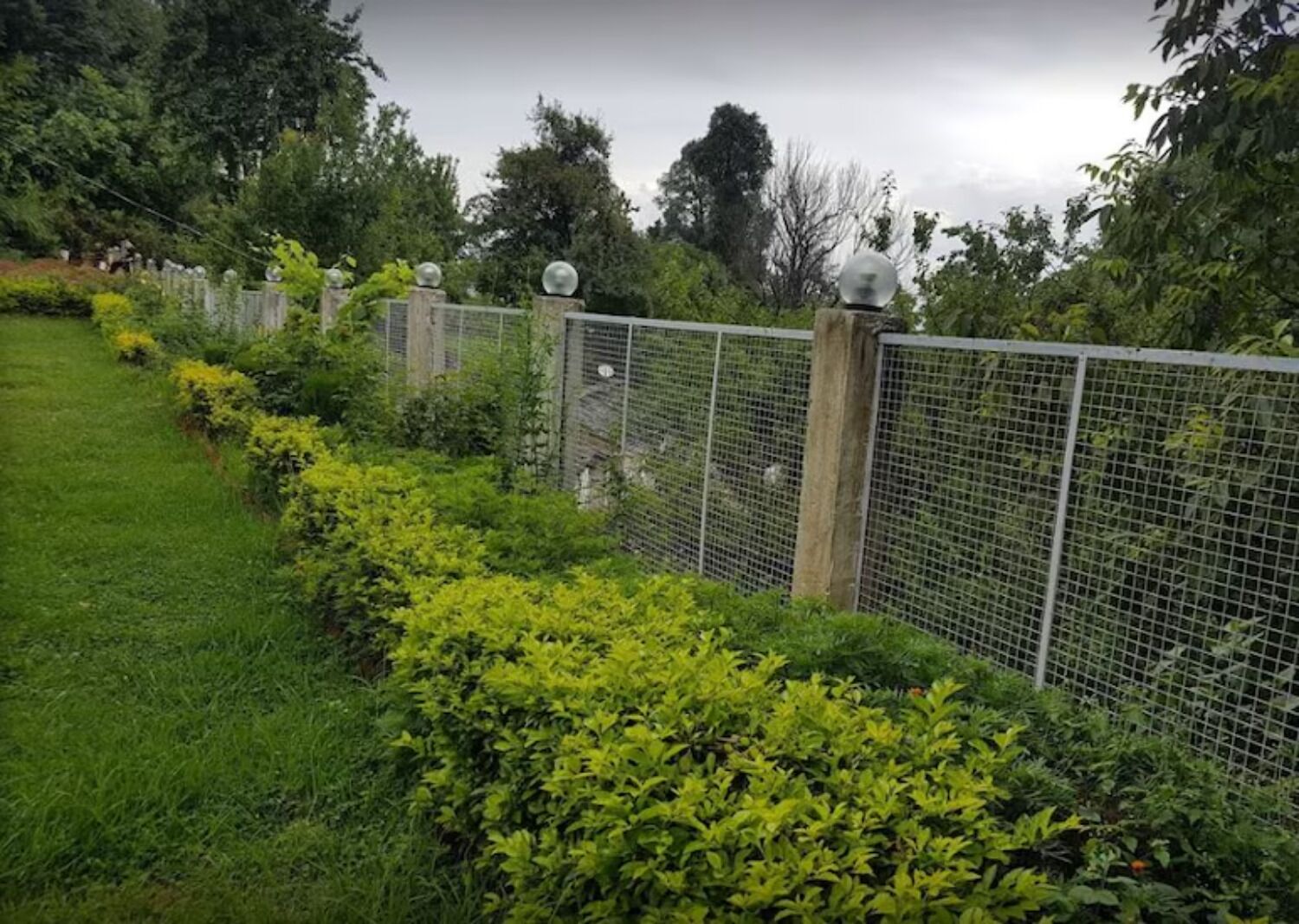 A garden with a metal fence, greenery, and a cloudy sky.