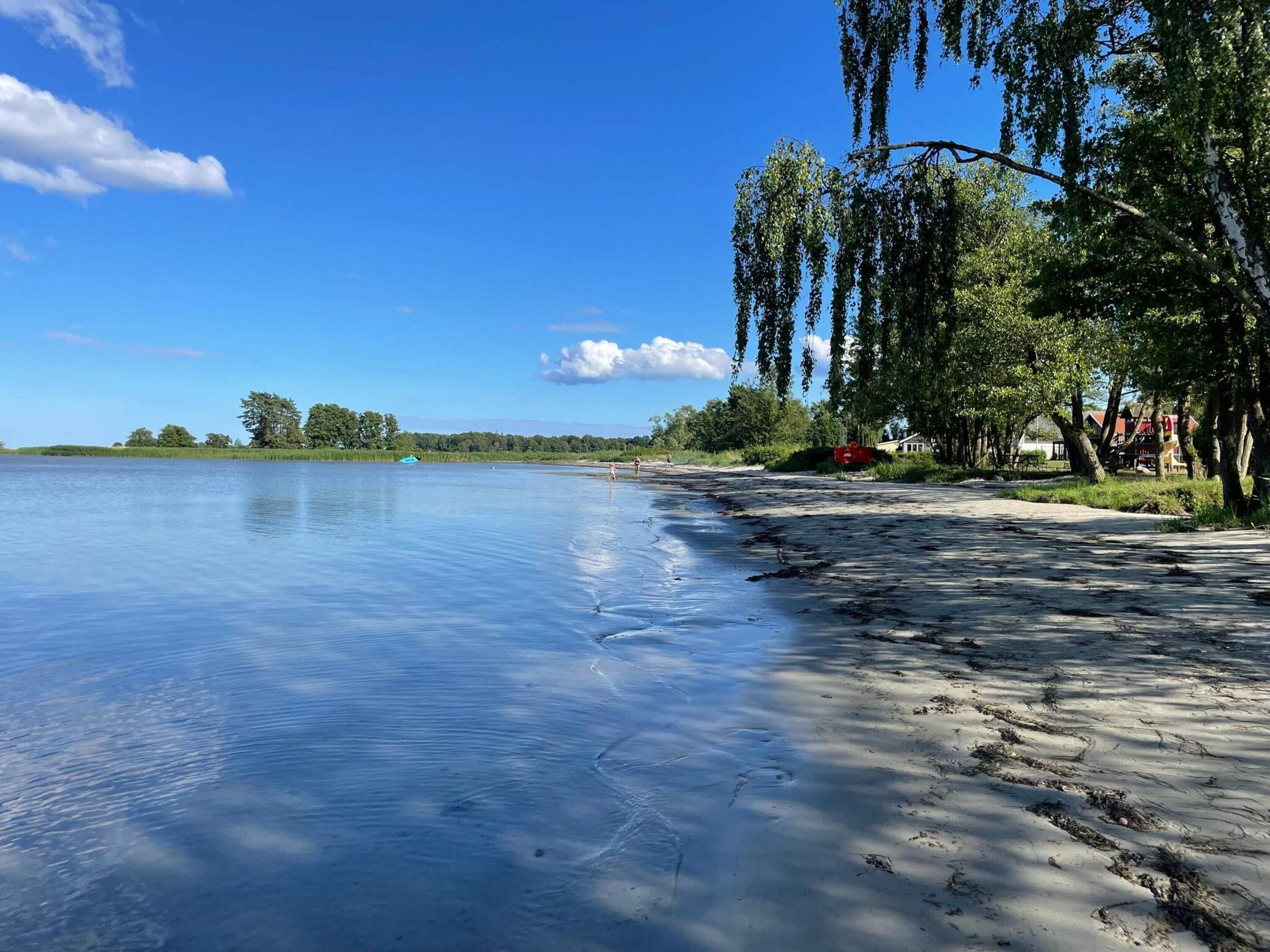 Um lago tranquilo com uma praia de areia e árvores à direita.