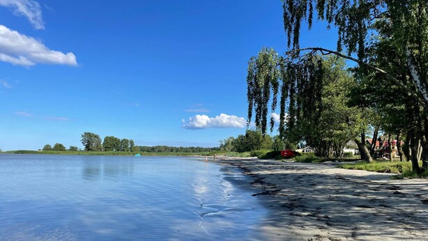 Um lago calmo com uma praia arenosa, árvores e céu claro.