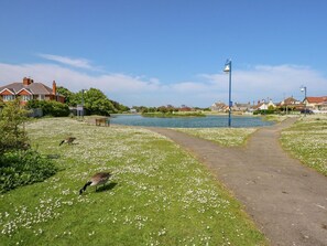 Property grounds - The Retreat, Mablethorpe (Mablethorpe)
