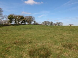 Miscellaneous - Tawny, Morchard Bishop, Devon, (Crediton)