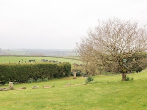 Un paysage rural avec un arbre, une haie et, au loin, des vaches dans un champ.