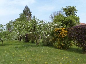 Property grounds - The Sun House: Romantic Retreat (Knaresborough)