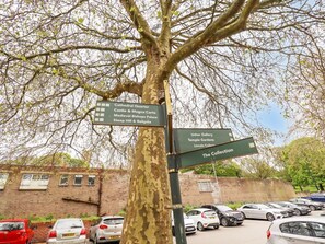 Property grounds - The Imp's Pad, Lincoln (Lincoln)