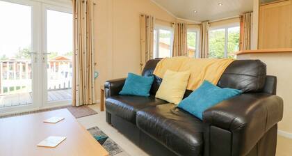 Mojo near Ilfracombe, in Devon