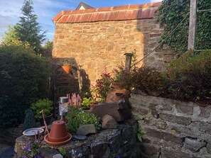 Property grounds - Courtyard Cottage, Chittlehampton (Umberleigh)