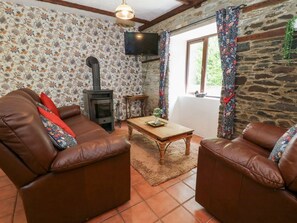 Fireplace - The Stable, Llandysul in Wales (Llandysul)