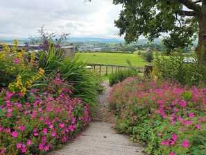 Un sendero de grava serpentea por un jardín con flores rosadas y follaje verde.