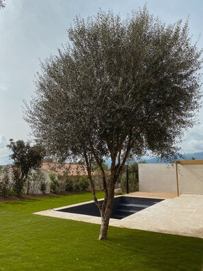 Property grounds - Villa 6 persons with swimming pool and large garden near Porto-Vecchio (Zonza)