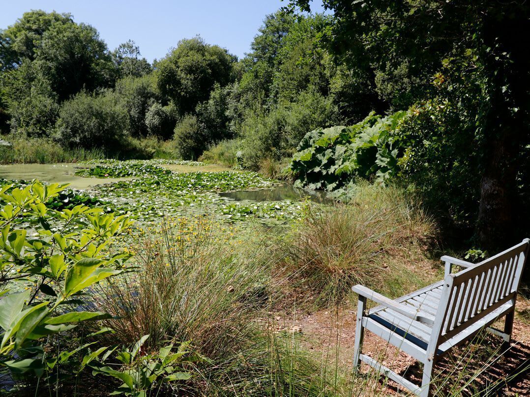Jardines del alojamiento
