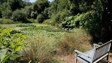 Jardines del alojamiento