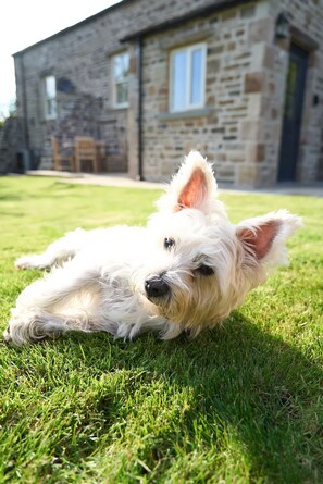 Property grounds - The Reading Rooms, Oughtershaw (Skipton)