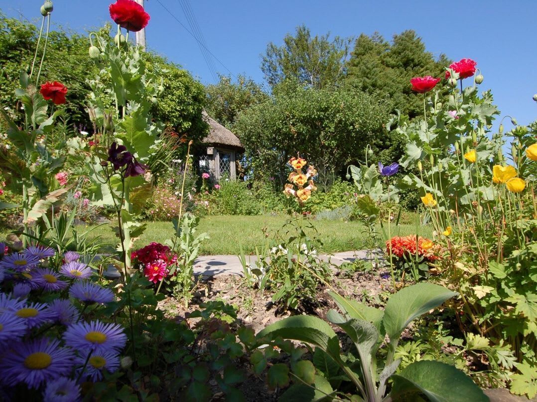 施設の敷地. Appletree Cottage, Bovey Tracey