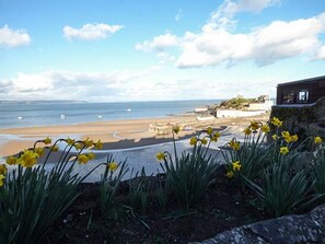 Beach nearby - White Cottage Annexe, Tenby (Tenby)