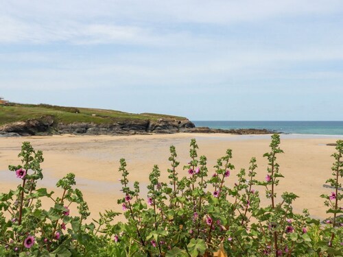 Chalet 209 St Merryn, Cornwall