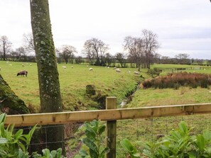 Property grounds - Pear Tree Cottage in Goosnargh (Preston)