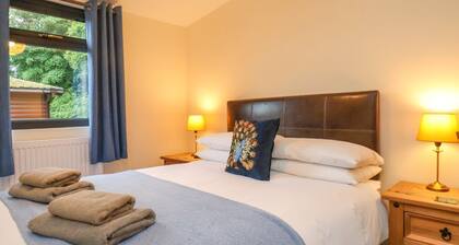 Ramson in Saltburn-By-The-Sea.