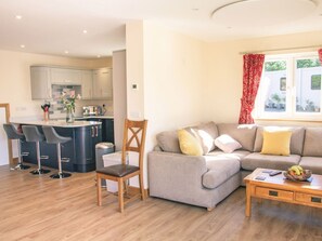 Living area - Swallows Dip, Honiton (Honiton)