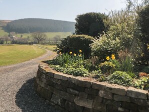 Un paysage rural avec un chemin de gravier, un mur de pierres et des plantes en fleurs.