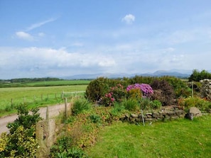 A rural landscape with a stone wall, a path, and a variety of vegetation.