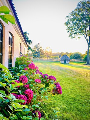 Property grounds - Nygaard Livsnyderi (Læsø)