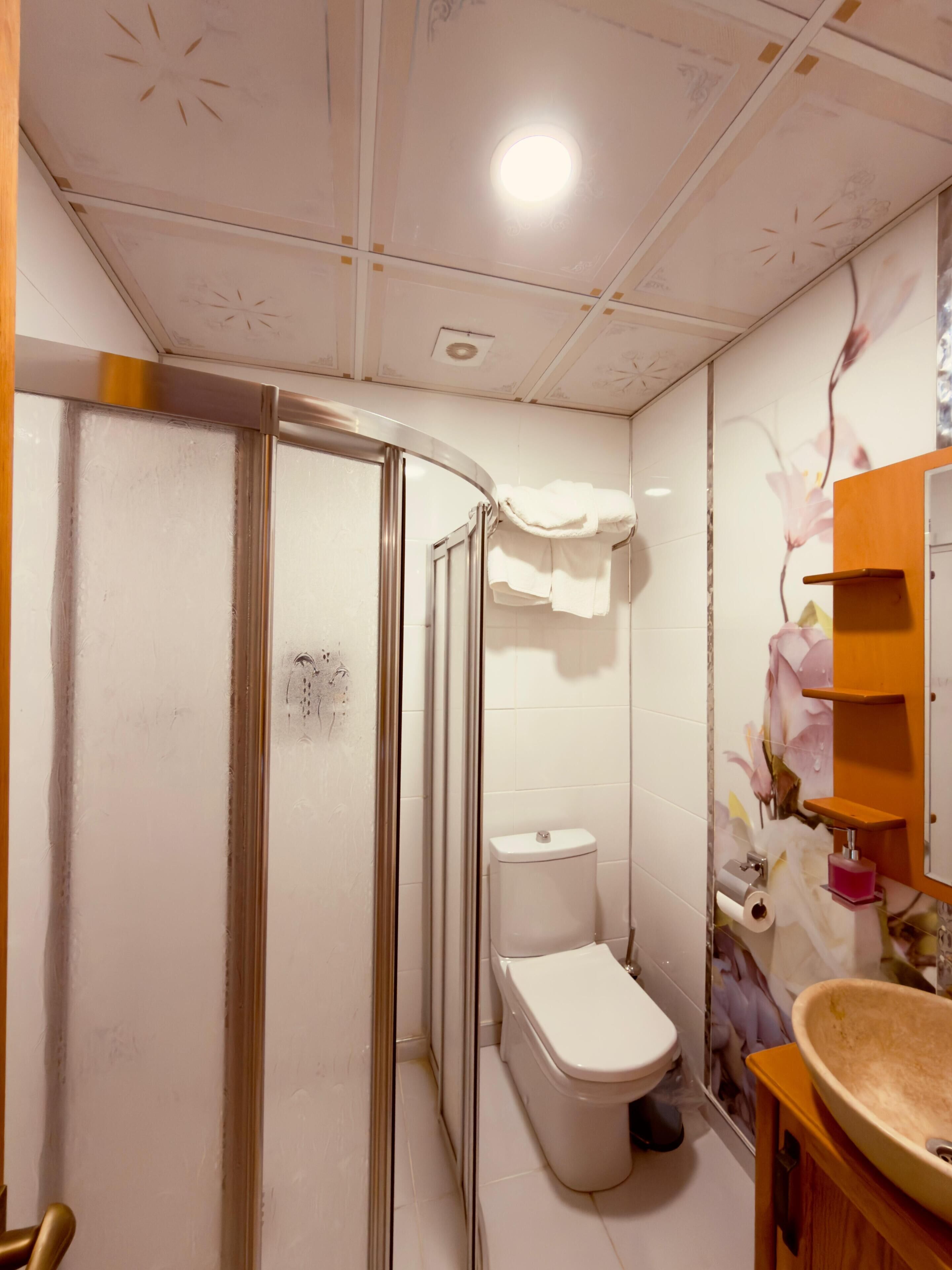 Een douche, gratis toiletartikelen, een haardroger, handdoeken