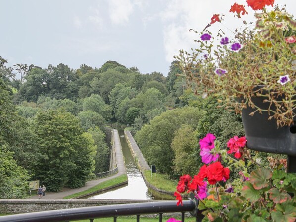 Property grounds - Plum Hill Studio, Oswestry (Oswestry)