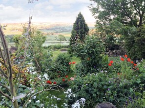 Property grounds - Wildflower Cottage, Danby (Whitby)