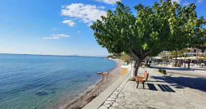 Hotel Delfini - Seaside Double Room, Menidi