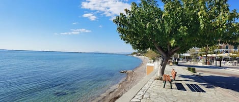 Ranta