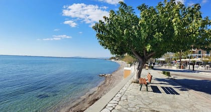 Hotel Delfini – Seaside Family Room, Menidi