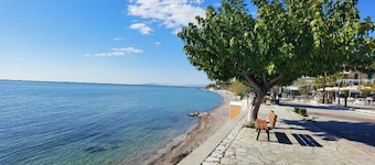Hotel Delfini – Seaside Family Room, Menidi